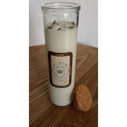 Kouzelná Svíčka - Úspěch